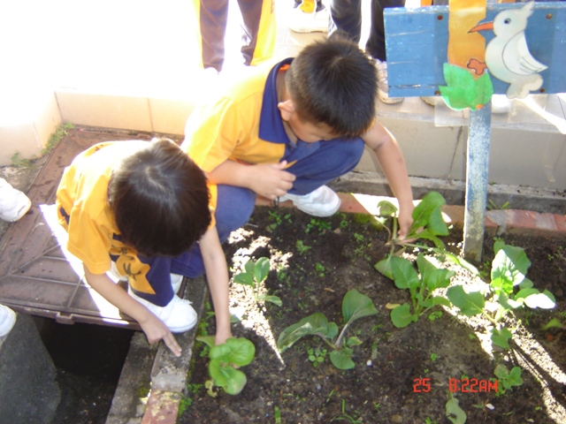 DSC07724.JPG